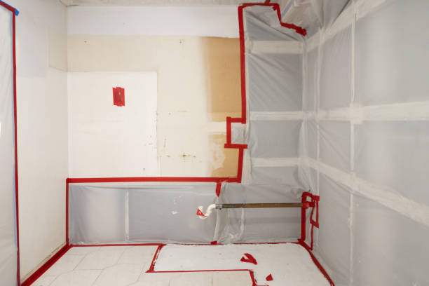 Best HVAC Mold Inspection and Cleaning  in Lake Oswego, OR