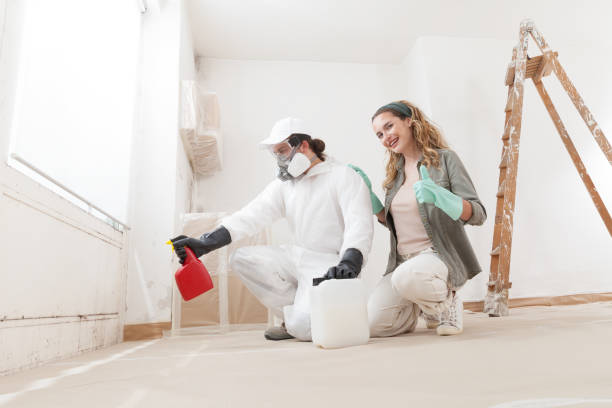 Best Mold Documentation for Insurance Claims  in Lake Oswego, OR